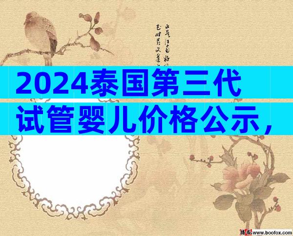 2024泰国第三代试管婴儿价格公示，5个收费项目要弄清楚！