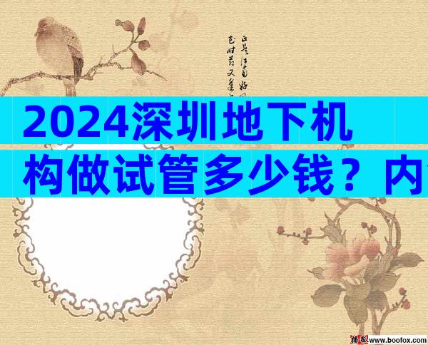 2024深圳地下机构做试管多少钱？内含建档费用明细