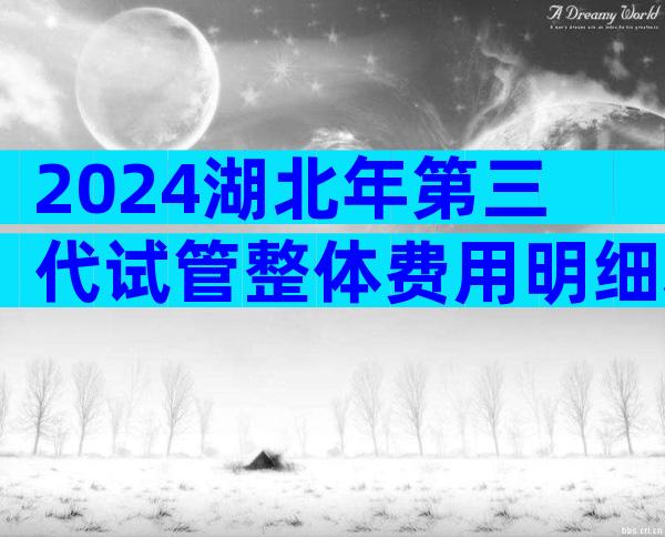 2024湖北年第三代试管整体费用明细表，试管费用清单很清楚！