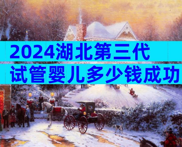 2024湖北第三代试管婴儿多少钱成功率多少？附三代试管婴儿详细费用