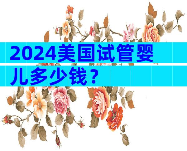 2024美国试管婴儿多少钱？