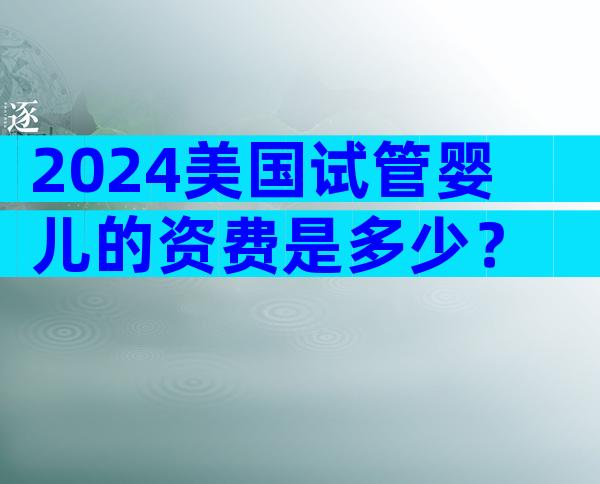 2024美国试管婴儿的资费是多少？