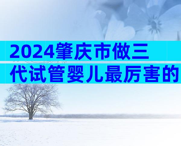 2024肇庆市做三代试管婴儿最厉害的医院有哪些名单