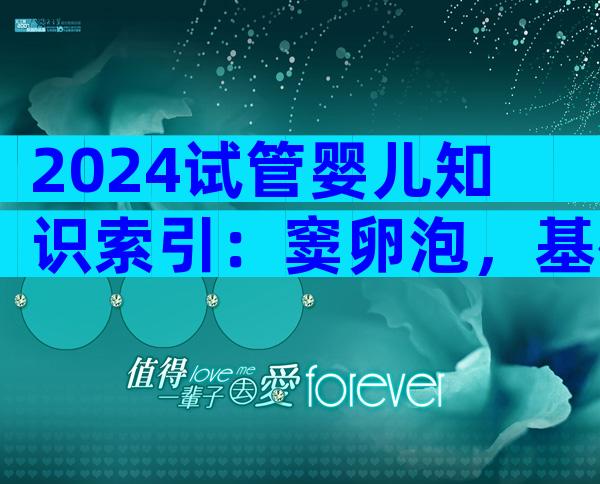 2024试管婴儿知识索引：窦卵泡，基础卵泡质量比数量更重要