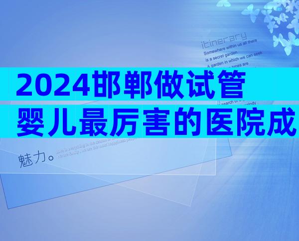 2024邯郸做试管婴儿最厉害的医院成功率怎么样