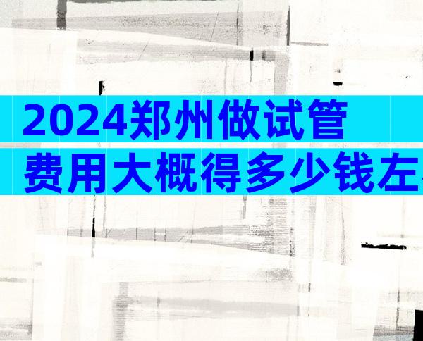 2024郑州做试管费用大概得多少钱左右？