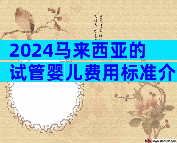 2024马来西亚的试管婴儿费用标准介绍！