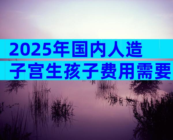 2025年国内人造子宫生孩子费用需要多少钱？