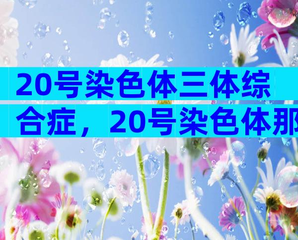 20号染色体三体综合症，20号染色体那些事儿