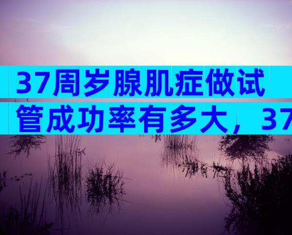 37周岁腺肌症做试管成功率有多大，37岁腺肌症能怀上孩子吗