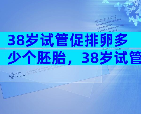 38岁试管促排卵多少个胚胎，38岁试管促排卵多少个