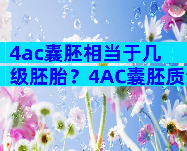 4ac囊胚相当于几级胚胎？4AC囊胚质量怎么样？