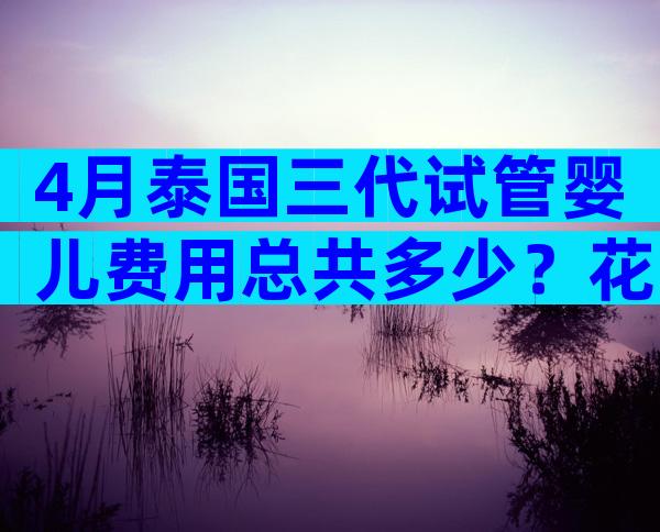 4月泰国三代试管婴儿费用总共多少？花费贵在哪里