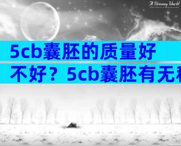 5cb囊胚的质量好不好？5cb囊胚有无移植的意义？