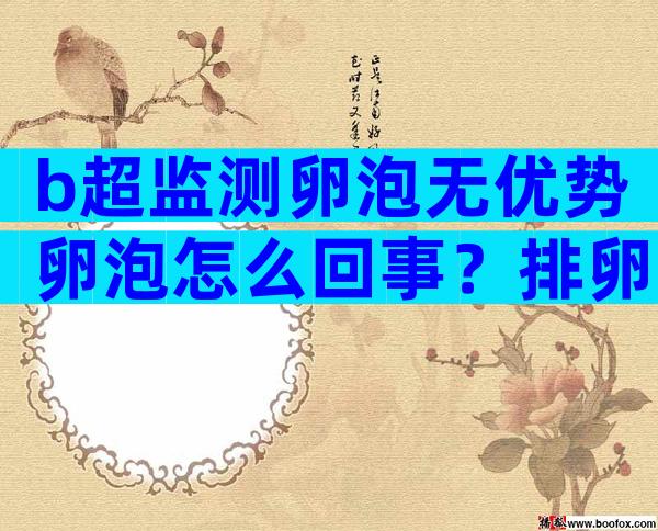 b超监测卵泡无优势卵泡怎么回事？排卵卵泡大小正常值