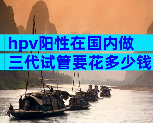 hpv阳性在国内做三代试管要花多少钱？成功率是多少？