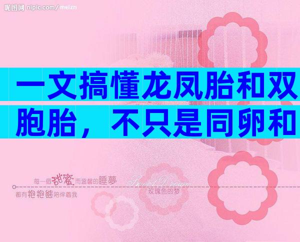 一文搞懂龙凤胎和双胞胎，不只是同卵和异卵的区别