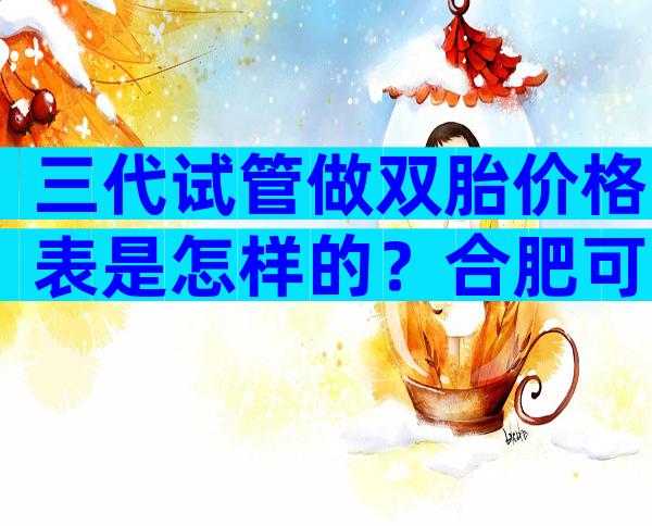 三代试管做双胎价格表是怎样的？合肥可以做吗