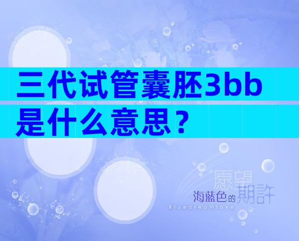 三代试管囊胚3bb是什么意思？