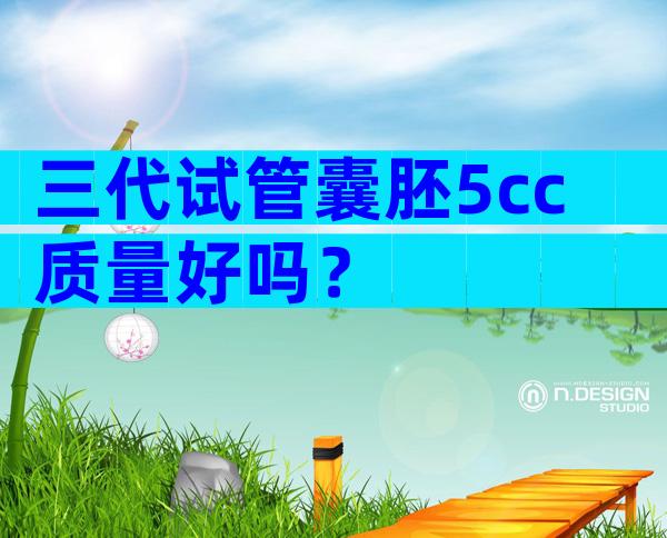 三代试管囊胚5cc质量好吗？