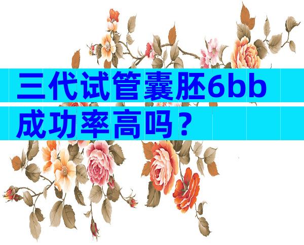 三代试管囊胚6bb成功率高吗？