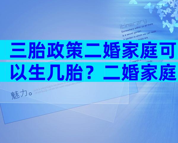 三胎政策二婚家庭可以生几胎？二婚家庭可以生三胎吗？