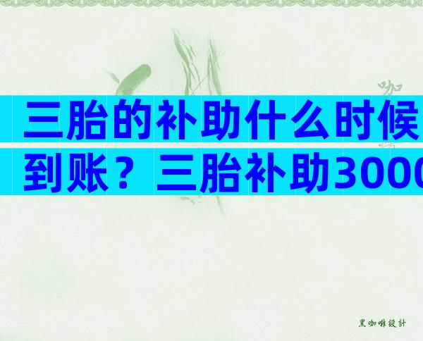 三胎的补助什么时候到账？三胎补助3000-5000