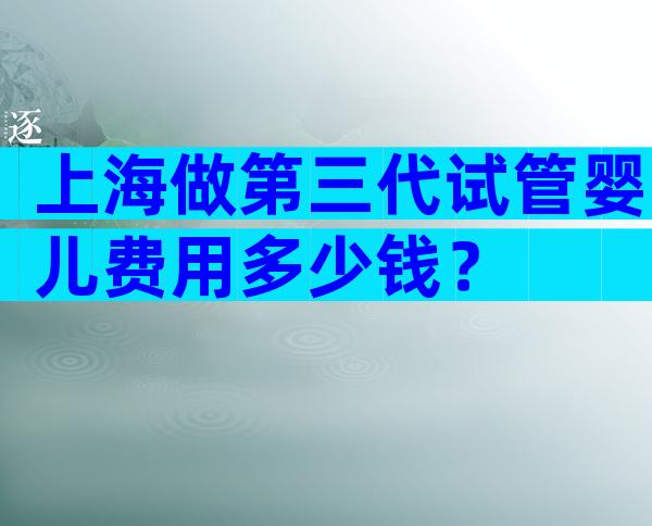 上海做第三代试管婴儿费用多少钱？