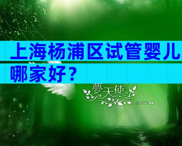 上海杨浦区试管婴儿哪家好？