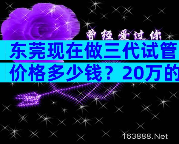 东莞现在做三代试管价格多少钱？20万的费用够吗？