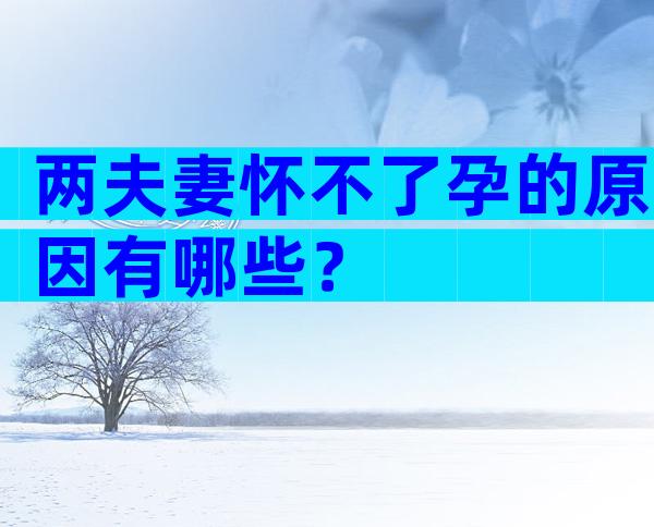 两夫妻怀不了孕的原因有哪些？