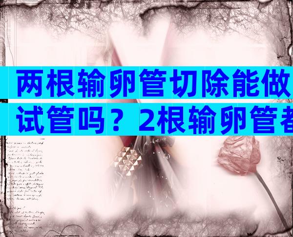 两根输卵管切除能做试管吗？2根输卵管都切除以后还能生孩子吗？