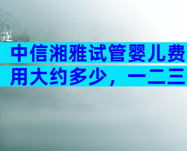 中信湘雅试管婴儿费用大约多少，一二三代收费项目全在里面