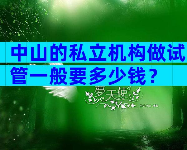 中山的私立机构做试管一般要多少钱？