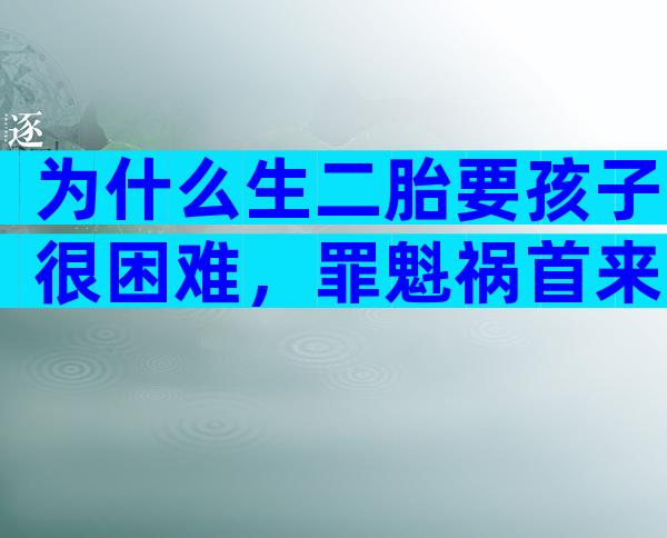 为什么生二胎要孩子很困难，罪魁祸首来自这三个方面