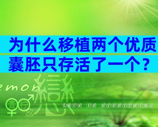 为什么移植两个优质囊胚只存活了一个？