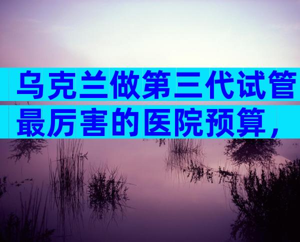 乌克兰做第三代试管最厉害的医院预算，2024年成功率比较高的是它