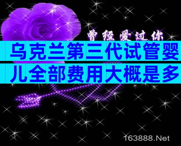 乌克兰第三代试管婴儿全部费用大概是多少？涉及哪些流程