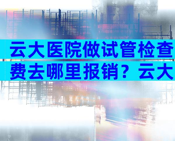 云大医院做试管检查费去哪里报销？云大医院做试管要多少钱？