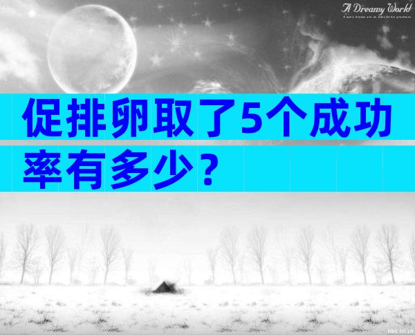 促排卵取了5个成功率有多少？