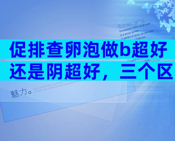 促排查卵泡做b超好还是阴超好，三个区别看完即明白！