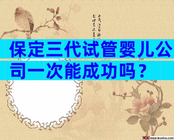 保定三代试管婴儿公司一次能成功吗？