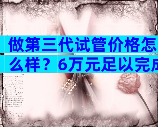 做第三代试管价格怎么样？6万元足以完成一个周期