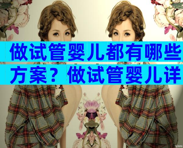 做试管婴儿都有哪些方案？做试管婴儿详细攻略