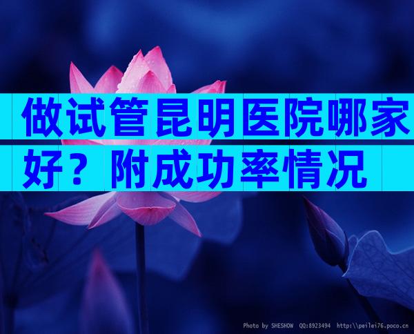 做试管昆明医院哪家好？附成功率情况