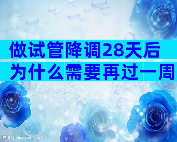 做试管降调28天后为什么需要再过一周才能移植？