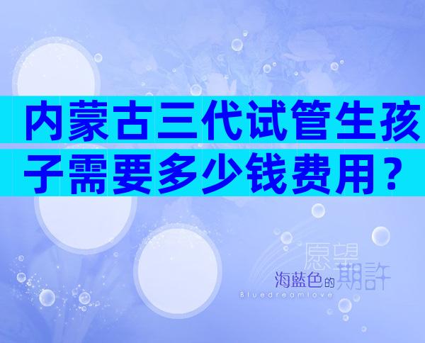 内蒙古三代试管生孩子需要多少钱费用？