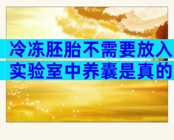 冷冻胚胎不需要放入实验室中养囊是真的吗？