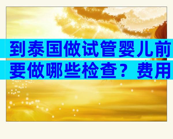 到泰国做试管婴儿前要做哪些检查？费用多少？