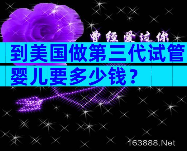 到美国做第三代试管婴儿要多少钱？